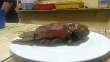    Ngạc nhiên với con tôm mũ ni có khuôn hình mặt người