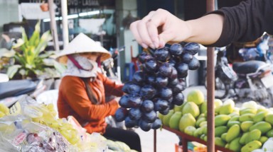   Trung Quốc tuồn nho, chanh, táo... nhiễm độc vào Việt Nam