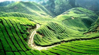  Thời tiết ngày 28 tháng 6: Nắng nóng duy trì ở nhiều vùng trên cả nước