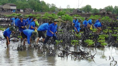  Tuyên dương các mô hình thanh niên tiêu biểu toàn quốc trong ứng phó biển đối khí hậu và bảo vệ môi trường