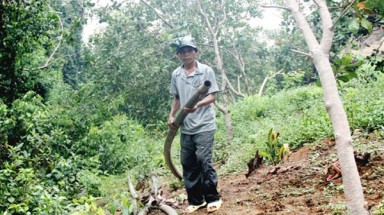 Lâm Đồng: Dân lao đao vì Công ty Hoa Sen chặn suối, ngăn đường