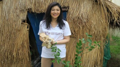   Cựu thủ tướng Yingluck trồng nấm khi xa rời chính trường