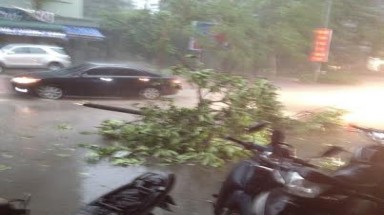   Hà Nội: Mưa lớn khiến cây cối bật gốc, nước ngập đường