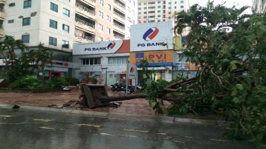   Hà Nội: Hơn 1.000 cây xanh bị gãy đổ do mưa dông 