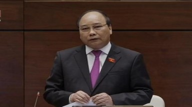   Phó Thủ tướng: Dân không hiểu vì sao lại chặt cây xanh buổi tối
