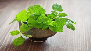   5 loại cây xanh trồng vừa đẹp nhà vừa đuổi muỗi