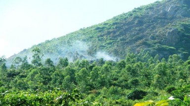   Tuyên Quang: Hơn 226 nghìn ha rừng nằm ở những khu vực dễ cháy 
