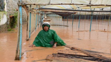   Phản hồi từ thiên nhiên