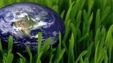  Hội thảo tư vấn Quản lý sức khỏe môi trường tại Việt Nam