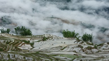  Huyền ảo ruộng bậc thang Y Tý mùa nước đổ