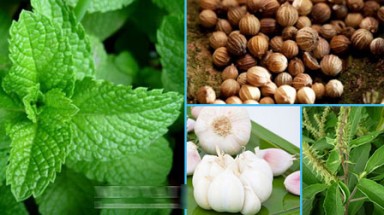  9 cách đơn giản chữa cảm cúm, nhức đầu hiệu quả
