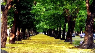 Thời tiết ngày 22 tháng 6: Nắng nóng chấm dứt trên cả nước