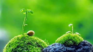  Thời tiết ngày 29 tháng 6: Nắng nóng duy trì ở Bắc và Trung bộ trong vài ngày tới 
