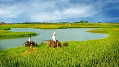  Thời tiết ngày 11 tháng 6: Trung bộ tiếp tục nắng nóng gay gắt, nhiệt độ trên 39 độ C 
