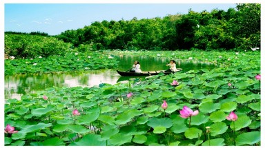  Thời tiết ngày 20 tháng 6: Nắng nóng thu hẹp tại các tỉnh Bắc Trung bộ 