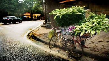 Thời tiết ngày 4 tháng 6: Miền Bắc tăng nhiệt trở lại, trời nắng gắt  