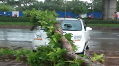 Mưa dông bất ngờ khiến Hà Nội như bãi chiến trường, 1 người chết, 3 người nguy kịch