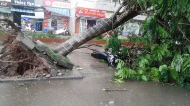  Thời tiết ngày 14 tháng 6:  Mưa dông về chiều tối và đêm ở nhiều vùng, đề phòng tố, lốc và gió giật mạnh