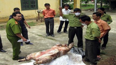  Không sử dụng các sản phẩm từ động, thực vật hoang dã nguy cấp, quý hiếm