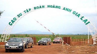  Hoàng Anh Gia Lai liên tục bị thu hồi dự án