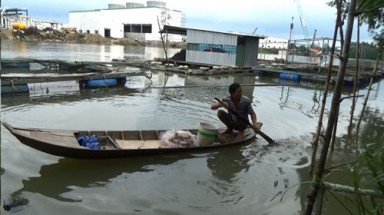  Hậu Giang: Không vì nghèo mà bất chấp ô nhiễm