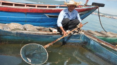 Bình Định: Dầu tràn đang gây thiệt hại ngư dân