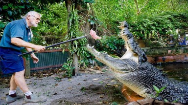  Cận cảnh cá sấu 110 tuổi "khủng" nhất thế giới