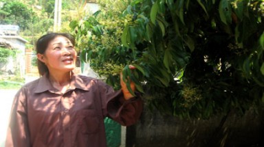  Người giữ màu xanh cho rừng