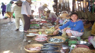  Mực tươi nhờ ngâm... hóa chất !