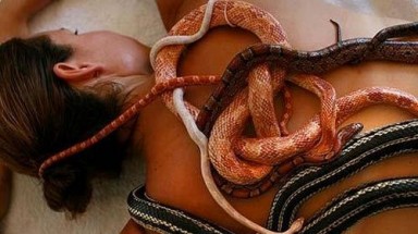  Sởn gai ốc mốt chữa bệnh, làm đẹp bằng động vật