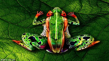  Trải nghiệm cảm giác vẽ lên người khỏa thân