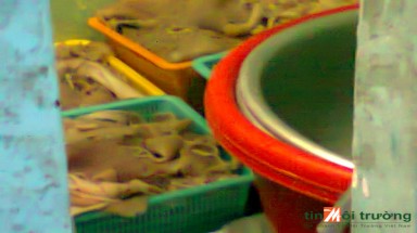   Quận Bình Tân: Cơ sở làm chả giò gây ô nhiễm