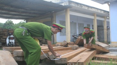  Khánh Hoà: Có gì bất thường trong lực lượng bảo vệ rừng ở Khánh Vĩnh?