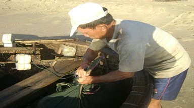  Làng phong xoay xở mưu sinh