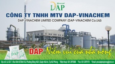  Hải Phòng: Nước thải của Công ty DAP-Vinachem gây hại cho dân