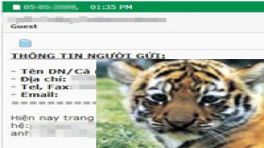   Lập diễn đàn “thú cưng” để thịt thú rừng