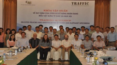  Tập huấn về Kỹ năng nhận dạng mẫu vật sừng tê giác và ngà voi