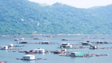    Phú Yên: Di dời lồng bè khỏi Vũng Rô- Điểm đến từ chối tiếp nhận
