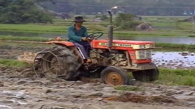 Quảng Nam:Cần giải quyết thấu tình, đạt lý việc thu hồi đất sản xuất của dân 