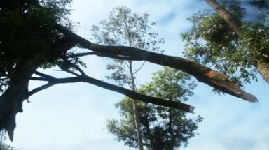   Công điện khẩn của Ban Chỉ đạo Phòng chống lụt bão Trung ương
