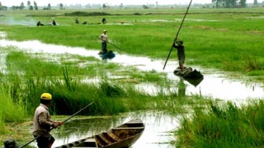   "Bảo vệ sự sống trong bối cảnh biến đổi khí hậu" 