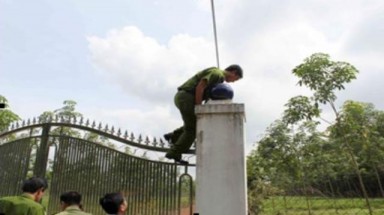  Chuyên án giải cứu 11 cá thể động vật hoang dã trong sách đỏ