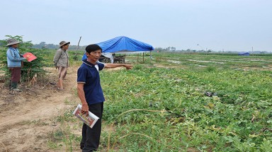  Quảng Ngãi: Lấy đất của dân… cho thuê!
