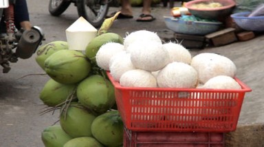  Bình Thuận: Cẩn thận chất tẩy trắng trong dừa tươi