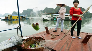 “Quét rác” trên biển
