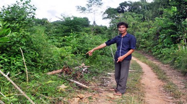  Quảng Nam: Những khuất tất cần được làm rõ trong việc sử dụng đất rừng