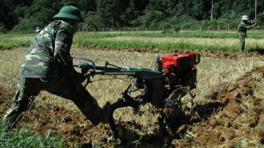 Lính lúa nước