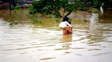  Bão lụt