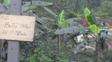   Hàng trăm hộ dân Yên Bình không thể bình yên với ruồi, muỗi và rác thải 