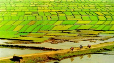  Đồng Nai: Tồn đọng 36.000 “sổ đỏ” chưa có người nhận 